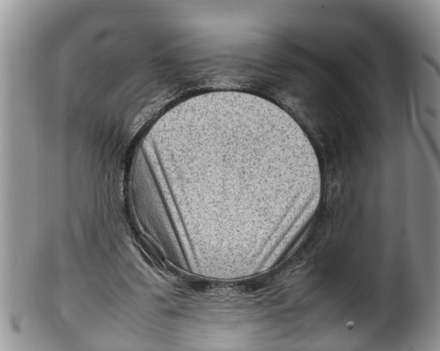 X0000100190299200806201404