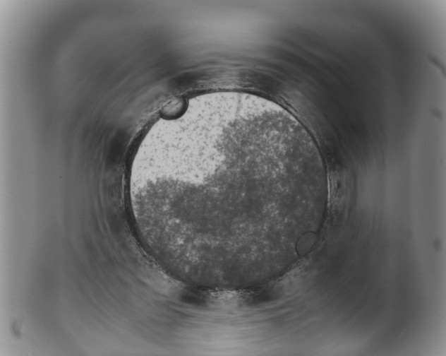 X0000100190301200806201404