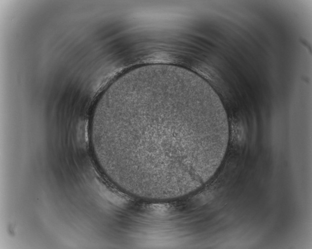 X0000100190302200806201404