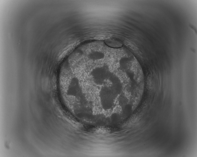 X0000100190303200806201404