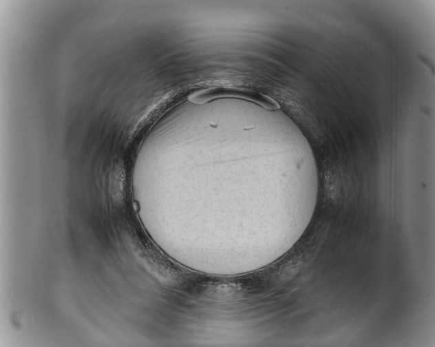 X0000100190304200806201404
