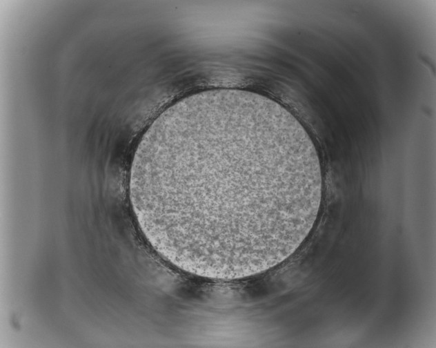 X0000100190305200806201404