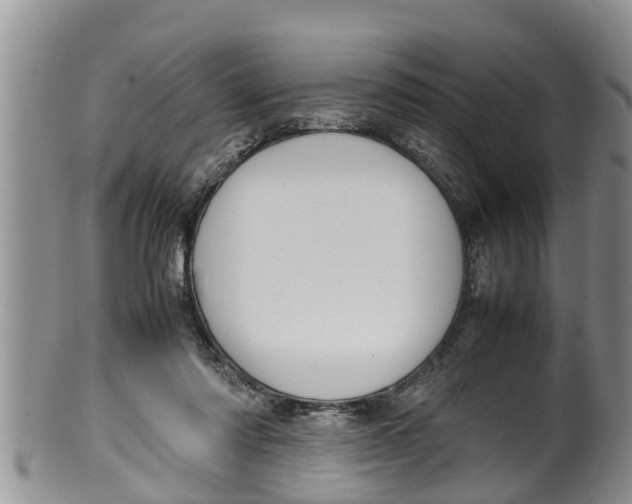 X0000100190310200806201404