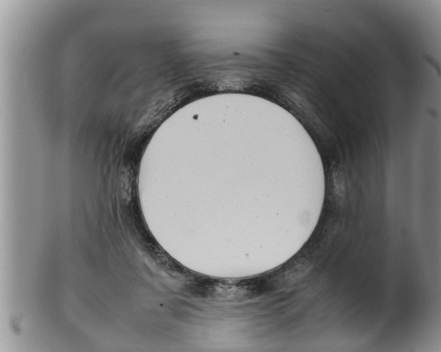 X0000100190311200806201404