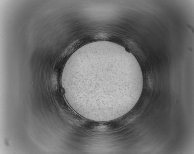 X0000100190312200806201403