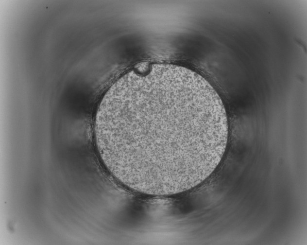 X0000100190313200806201403