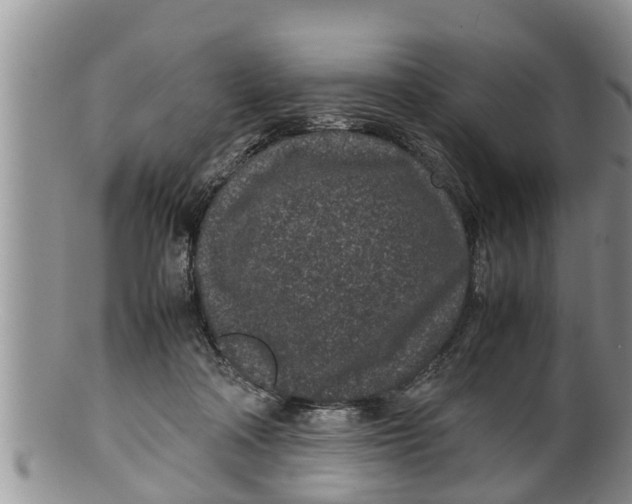 X0000100190314200806201403