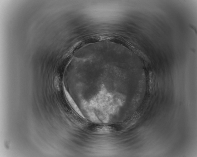 X0000100190316200806201403