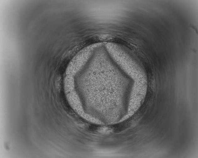 X0000100190319200806201403