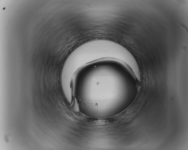 X0000100190320200806201403