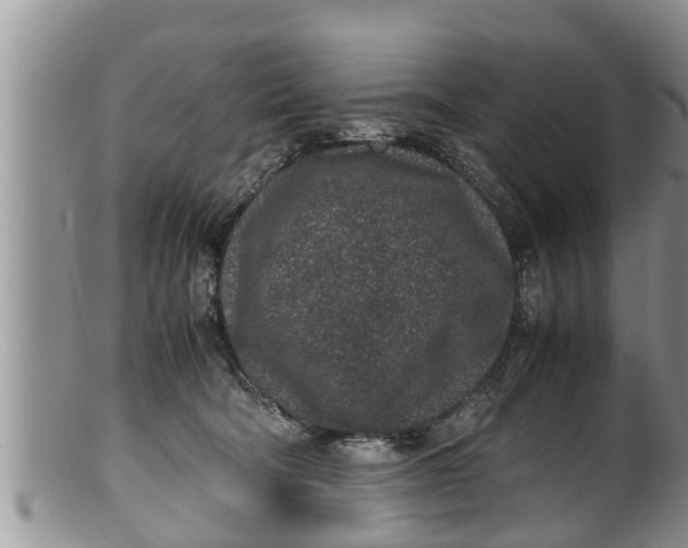 X0000100190322200806201403