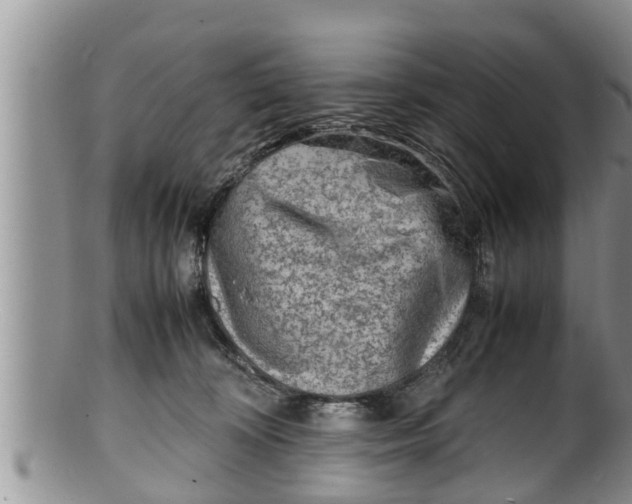 X0000100190324200806201403