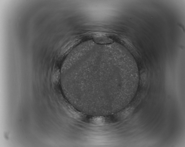 X0000100190325200806201403
