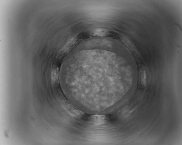 X0000100190328200806201403