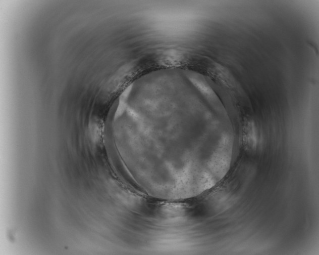 X0000100190332200806201403