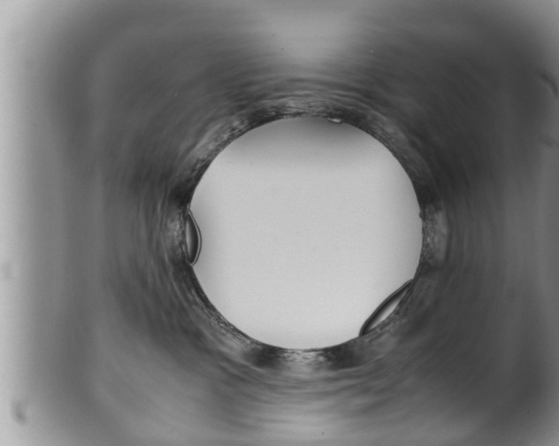 X0000100190333200806201403