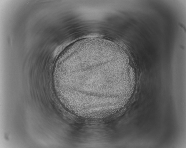 X0000100190337200806201402
