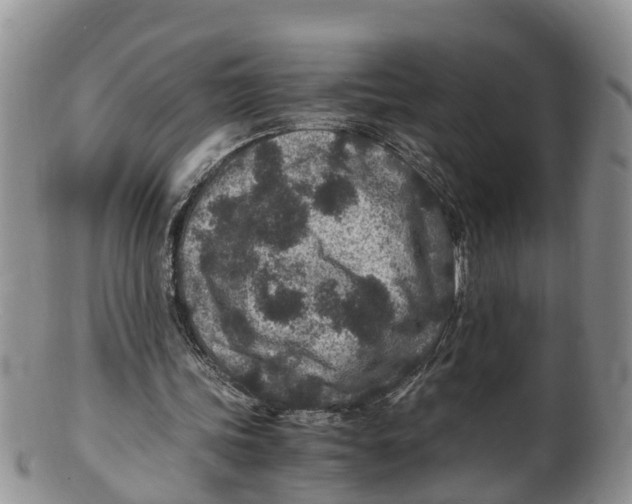 X0000100190339200806201402