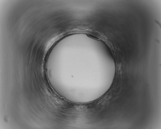 X0000100190340200806201402