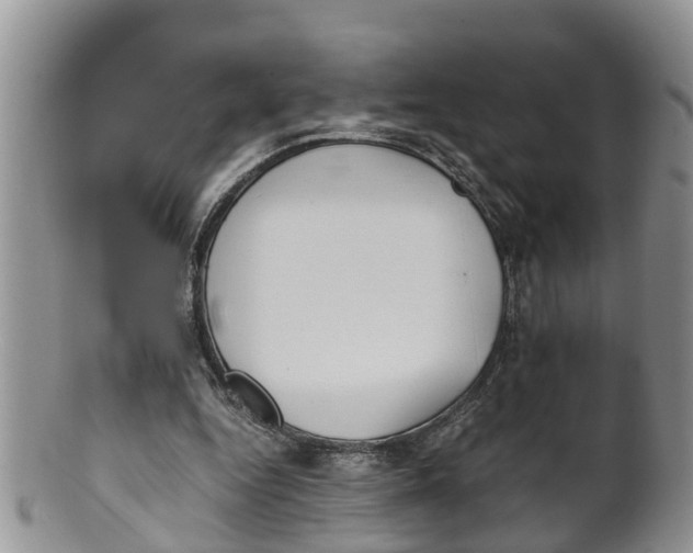 X0000100190344200806201403