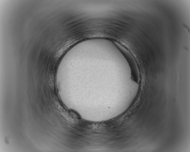 X0000100190345200806201403