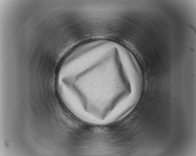 X0000100190346200806201403