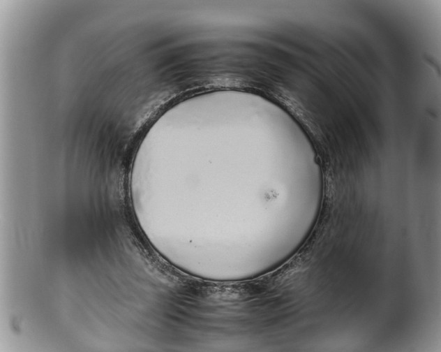 X0000100190347200806201403