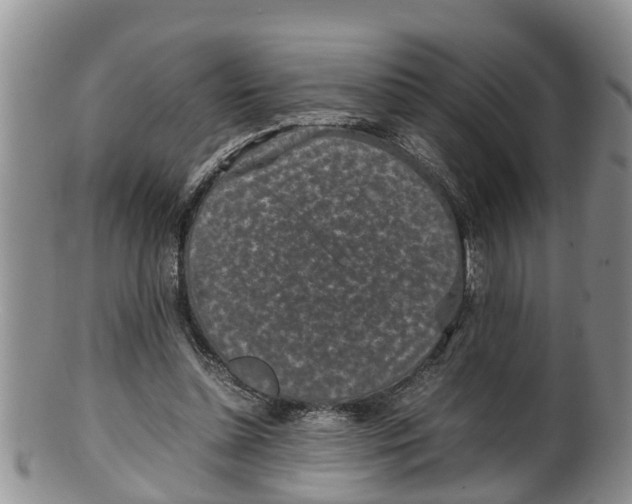 X0000100190348200806201403