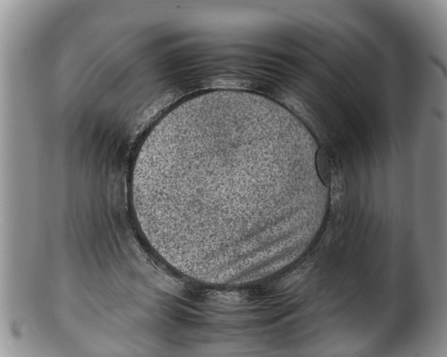 X0000100190349200806201403