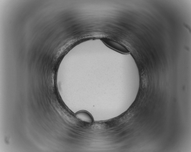 X0000100190350200806201403