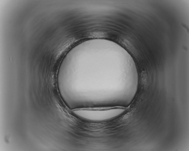 X0000100190351200806201403