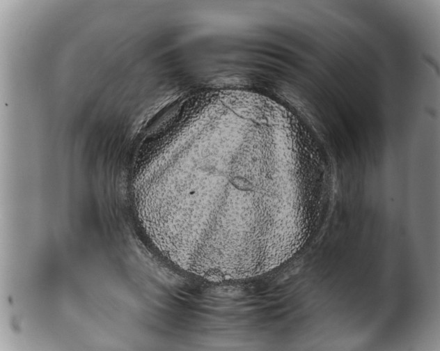 X0000100190353200806201403