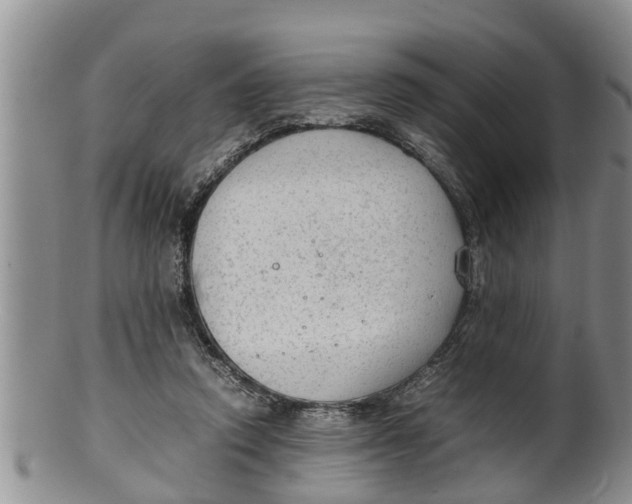 X0000100190354200806201403