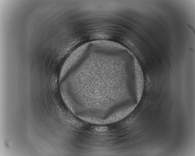 X0000100190355200806201403