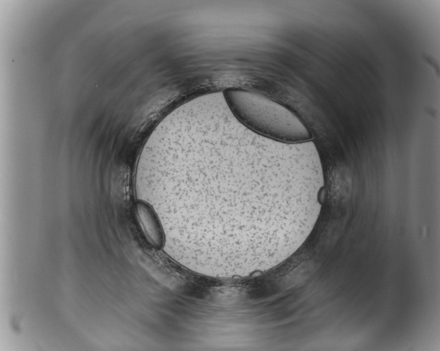 X0000100190356200806201403