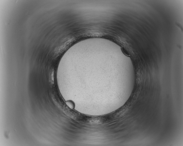 X0000100190358200806201403