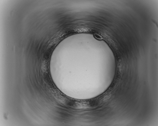 X0000100190359200806201403
