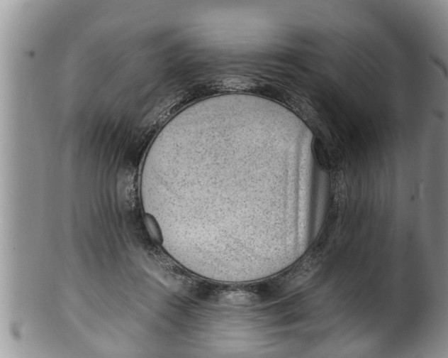 X0000100190360200806201403