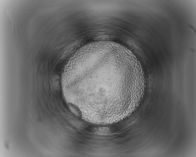 X0000100190361200806201403