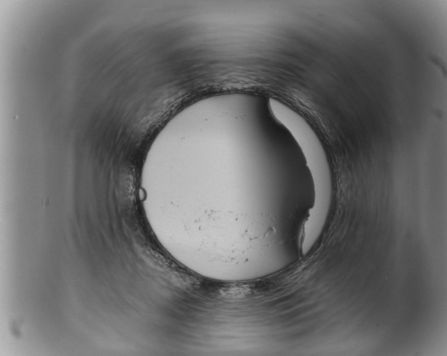 X0000100190362200806201403