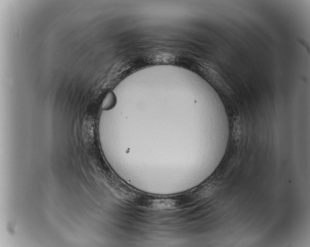 X0000100190363200806201403