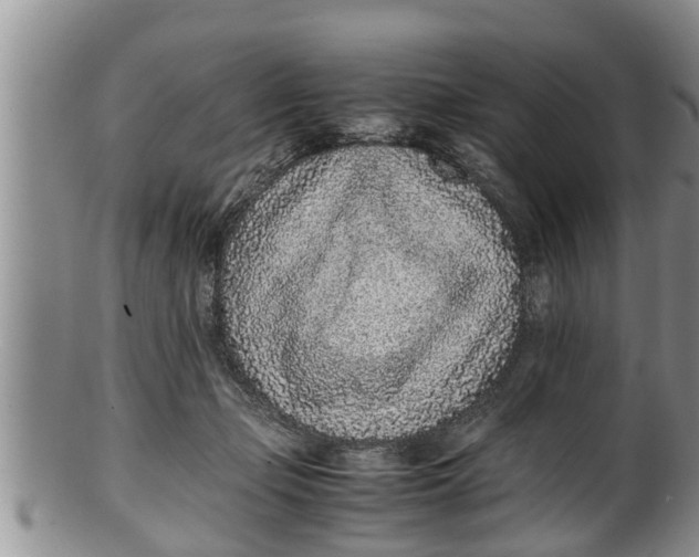 X0000100190365200806201403