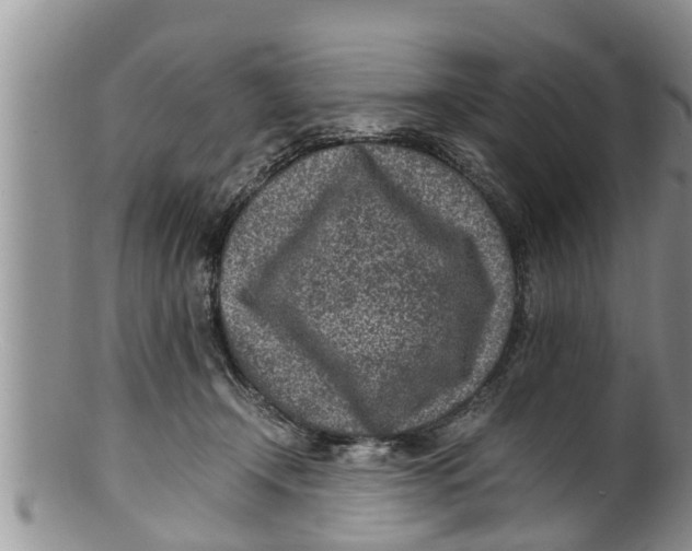 X0000100190366200806201403
