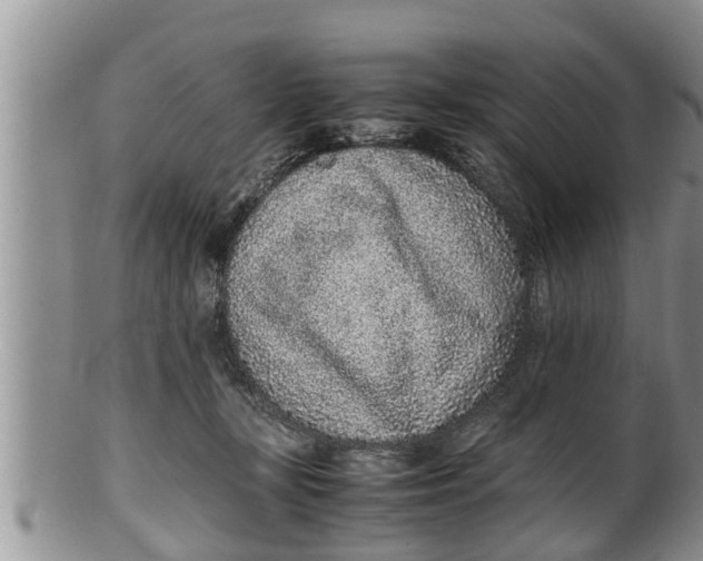 X0000100190367200806201403