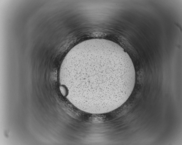 X0000100190368200806201403