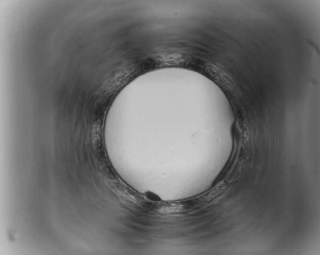 X0000100190369200806201403