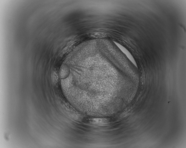 X0000100190371200806201403