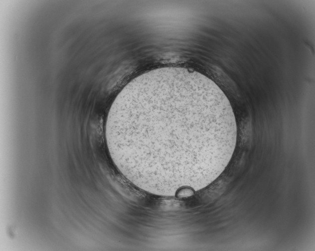 X0000100190376200806201403