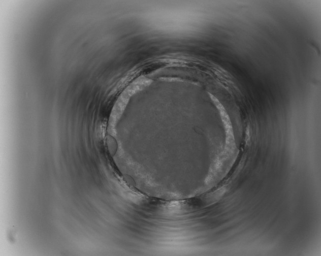 X0000100190382200806201403