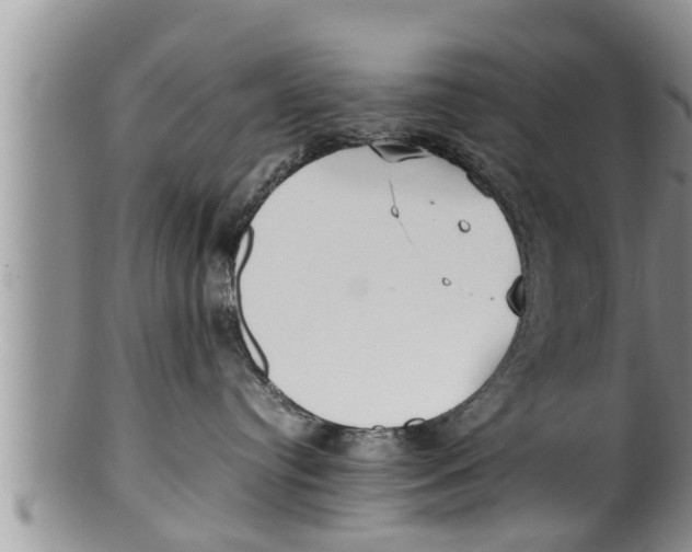 X0000100190384200806201403